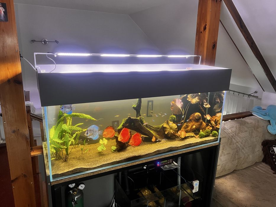 Akwarium 140x50x50+ sump CAŁY ZESTAW