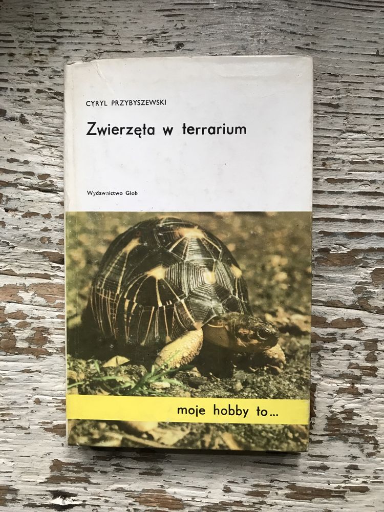 Zwierzęta w terrarium - Cyryl Przybyszewski.