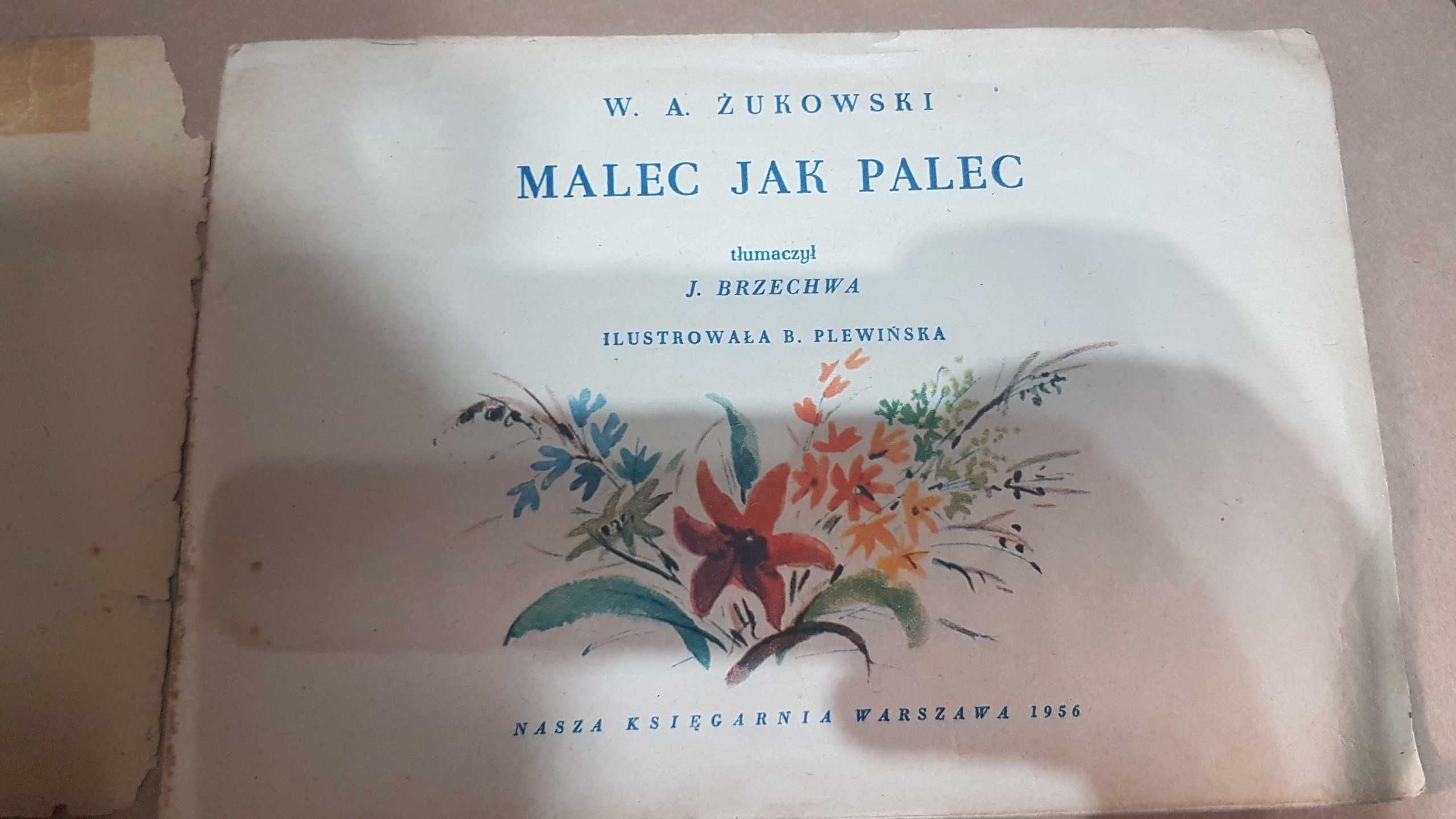 stara bajka książeczka w.a. żukowski malec jak palec