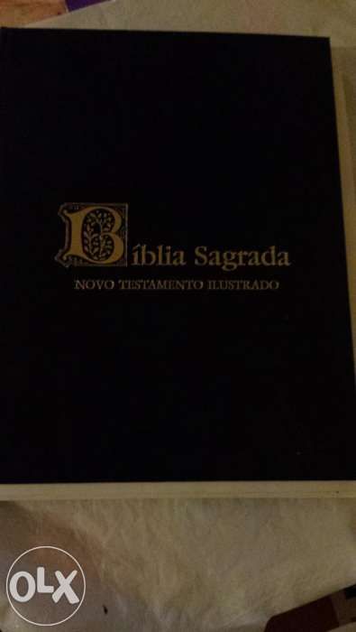 Biblia ilustrada
