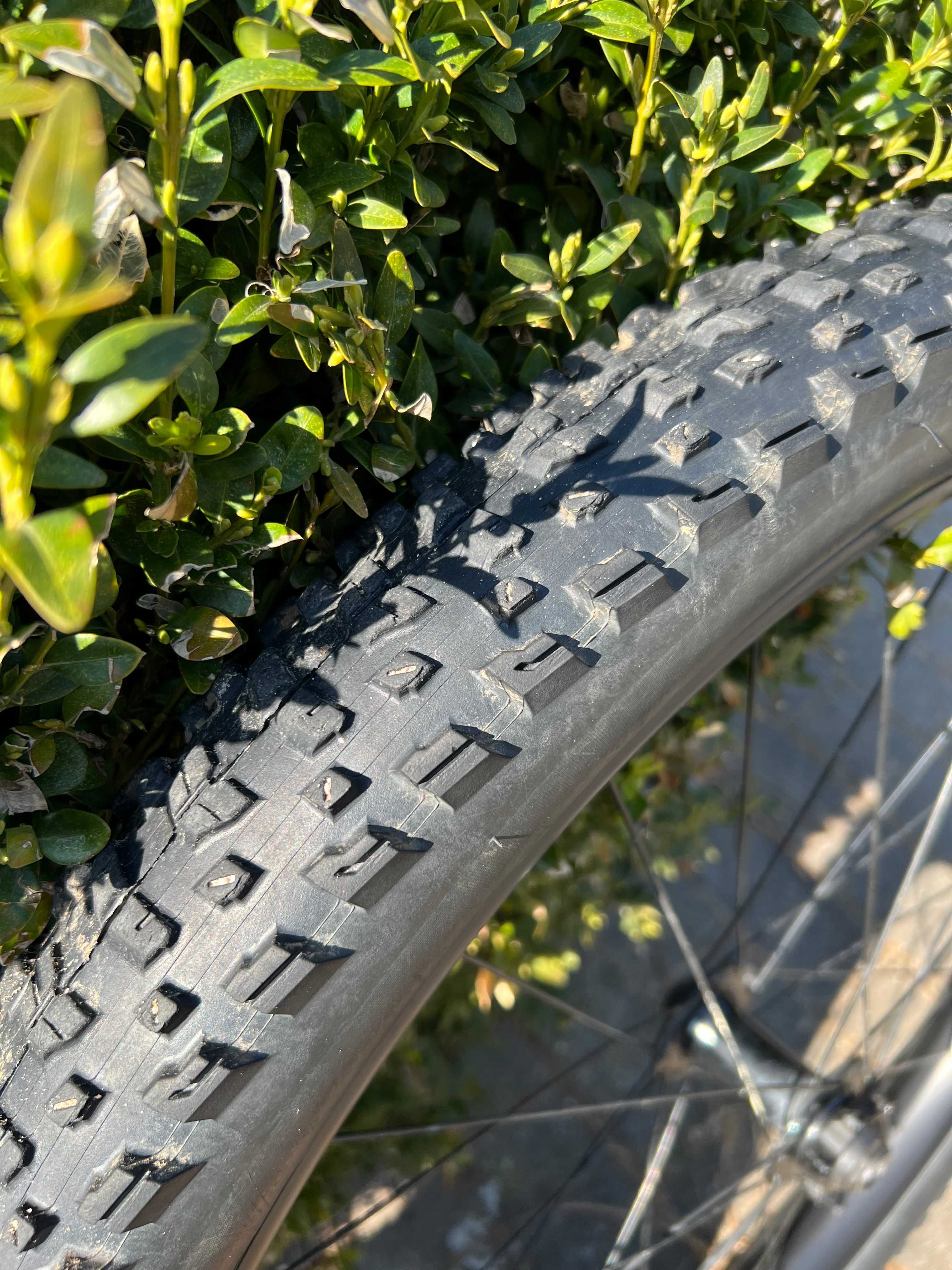 koła Bontrager line 40 boost 141