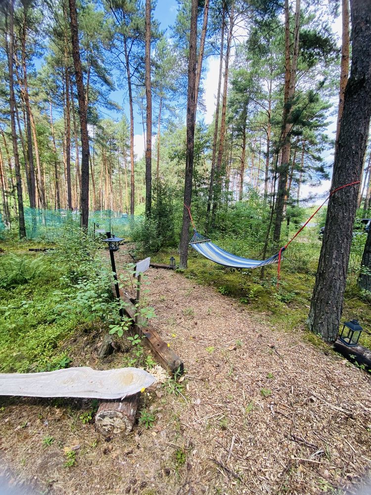 Las, zalew i ognisko – kameralny camping offline