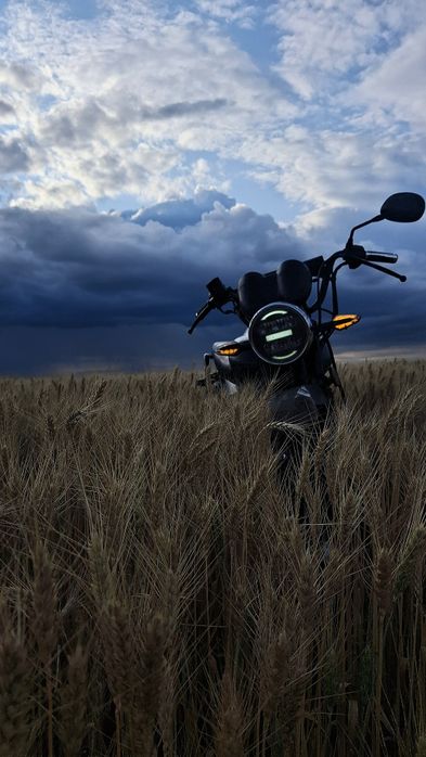 Продам мотоцыкл мустанг динго 125