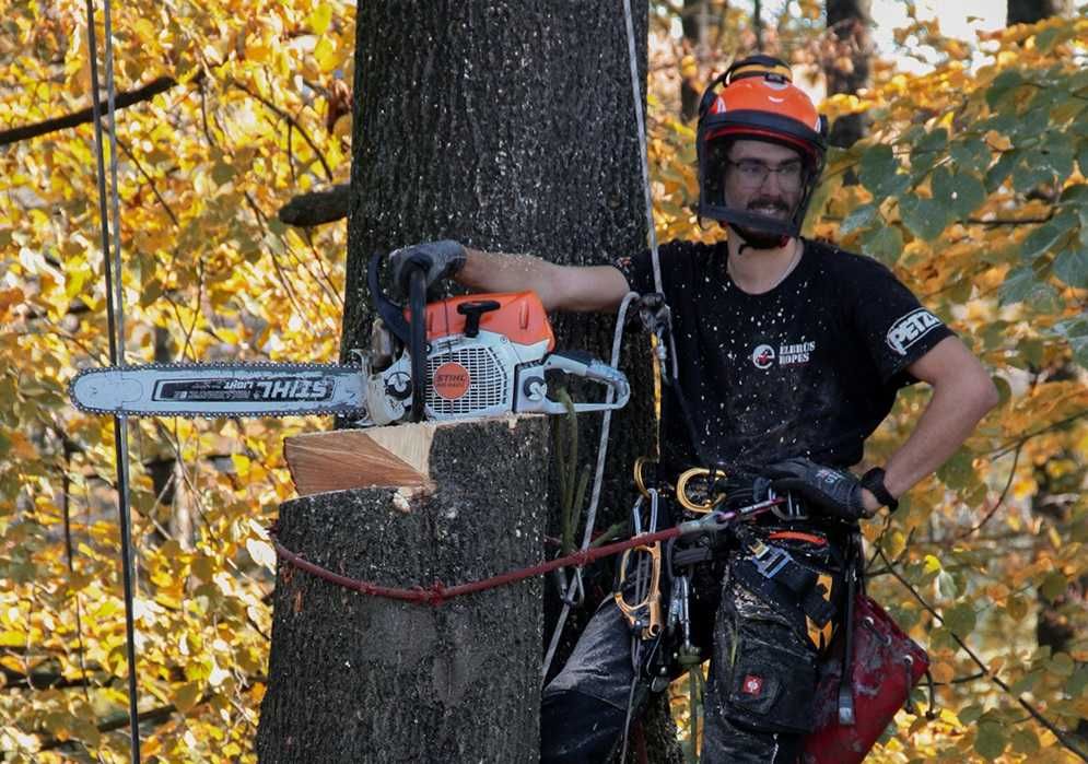 WYCINKA DRZEW trudnych Metodą Alpinistyczną oraz pielęgnacja korony