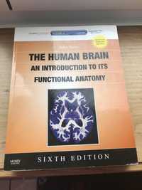 Livro De Neuroanatomia: John Nolte - The Human Brain (6th edition)