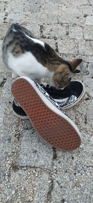 Sapatilhas/ténis Vans Skulls 42,5