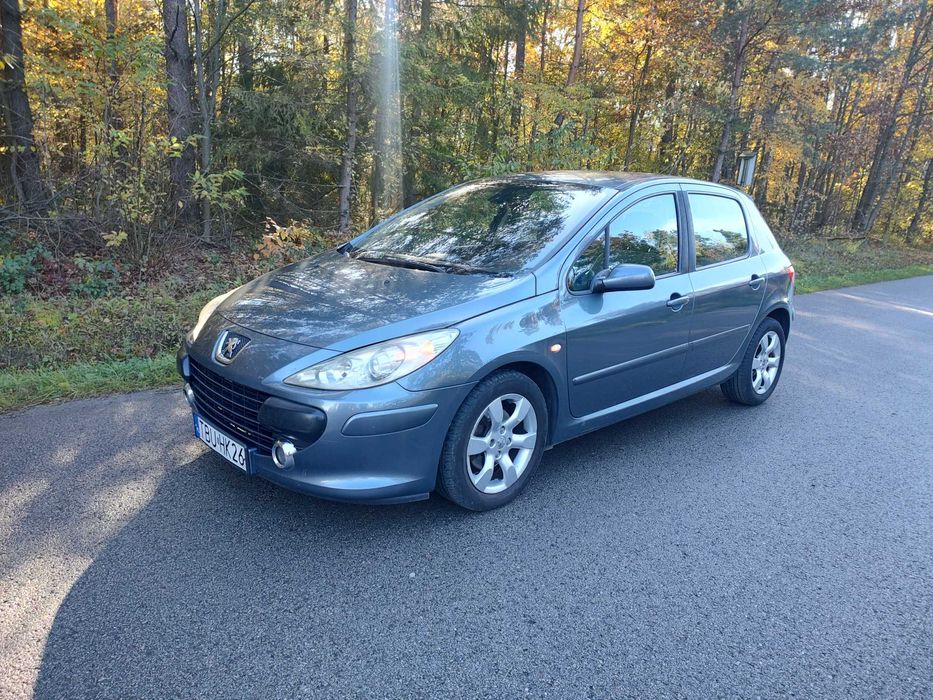 Peugeot 307 Lift 1.6 D długie oplaty