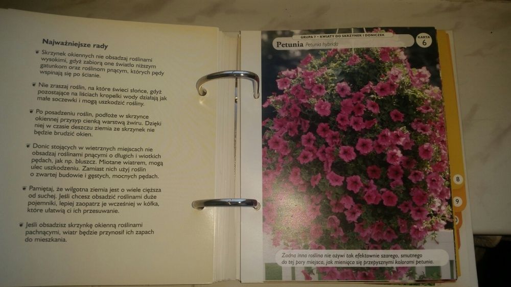 Dom pełen kwiatów ABC Roślin doniczkowych