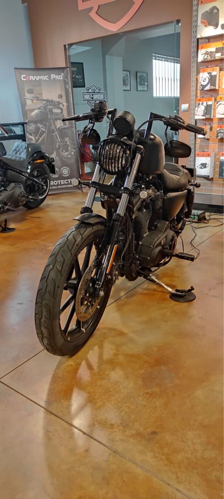 Harley Davidson 883