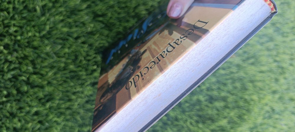 Livro de Danielle Steel, Desaparecido