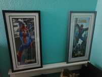 Quadros Spider-Man