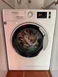 Máquina de lavar roupa Hotpoint