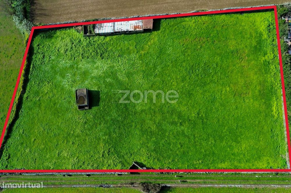 Terreno Rústico com Vista Mar - Arrifes