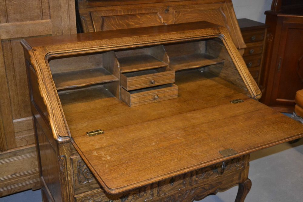 sekretarzyk ludwikowski .lity dąb .#2