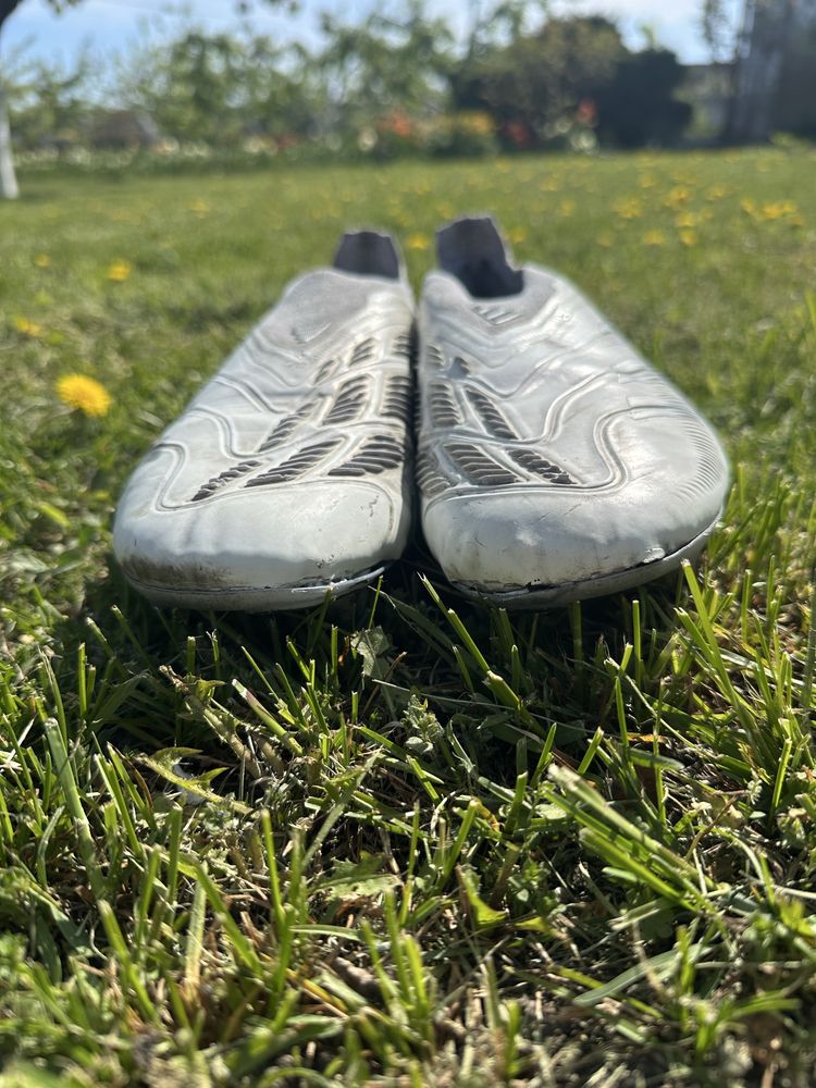 Predator 43 size