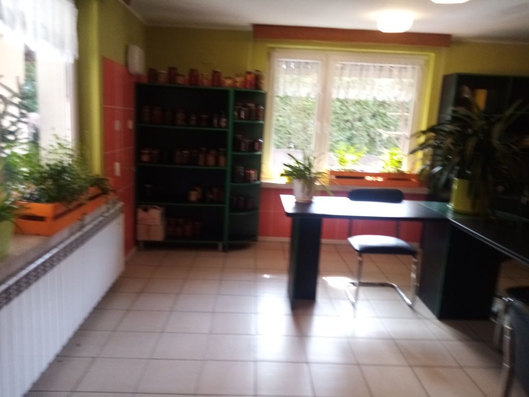 Regały i biurka w zielonym kolorze