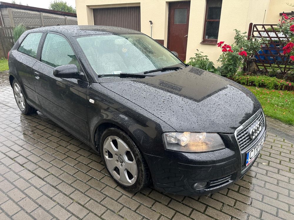 Audi A3 8P 1.9 TDI Polecam