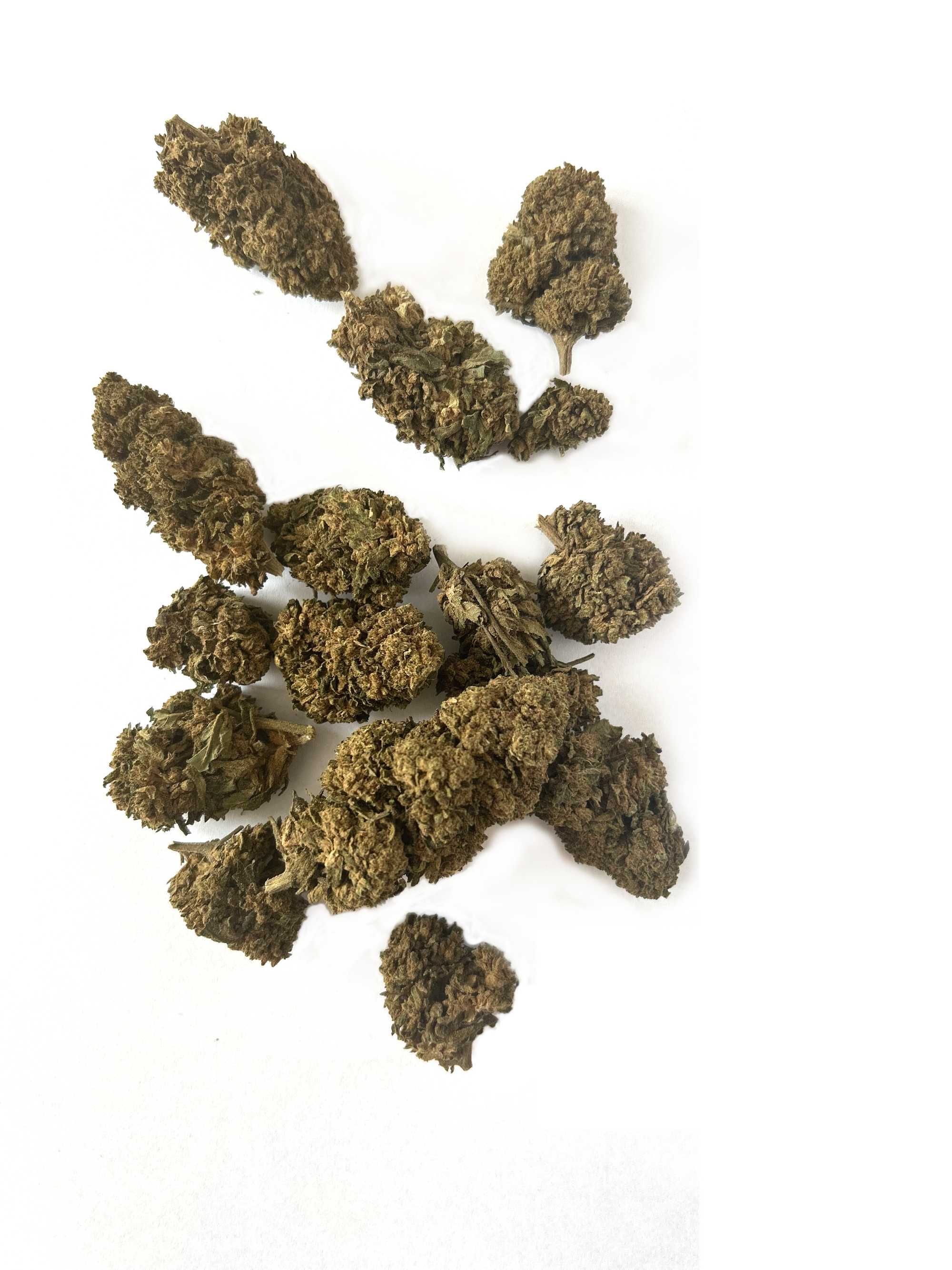 WHITE WIDOW CBD 100G Susz Konopny CBDA PREMIUM Full Spectrum Weed
