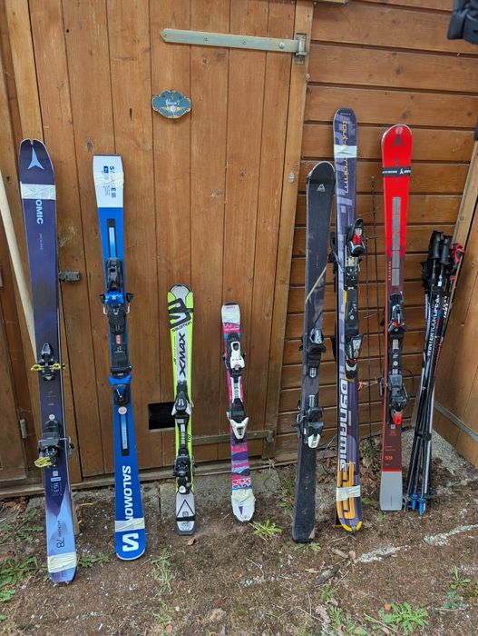 Лижі професійні гірські