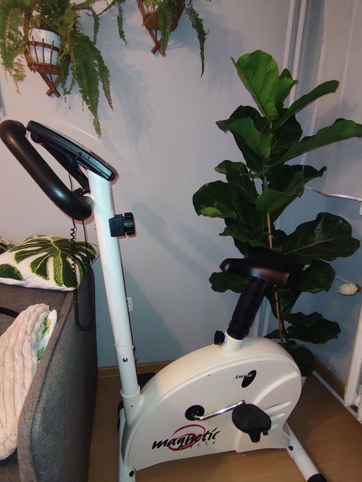 Rower stacjonarny magnetyczny Amysa – świetny stan!