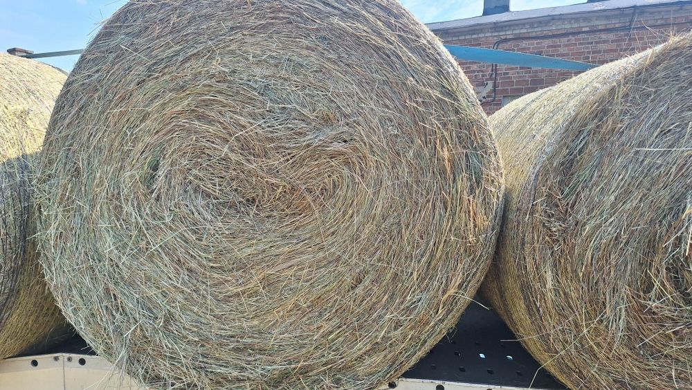 Siano Siano pierwszy pokos dobrze sprasowane