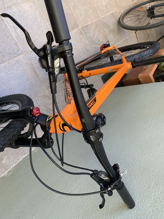 Cannondale  trail.  29