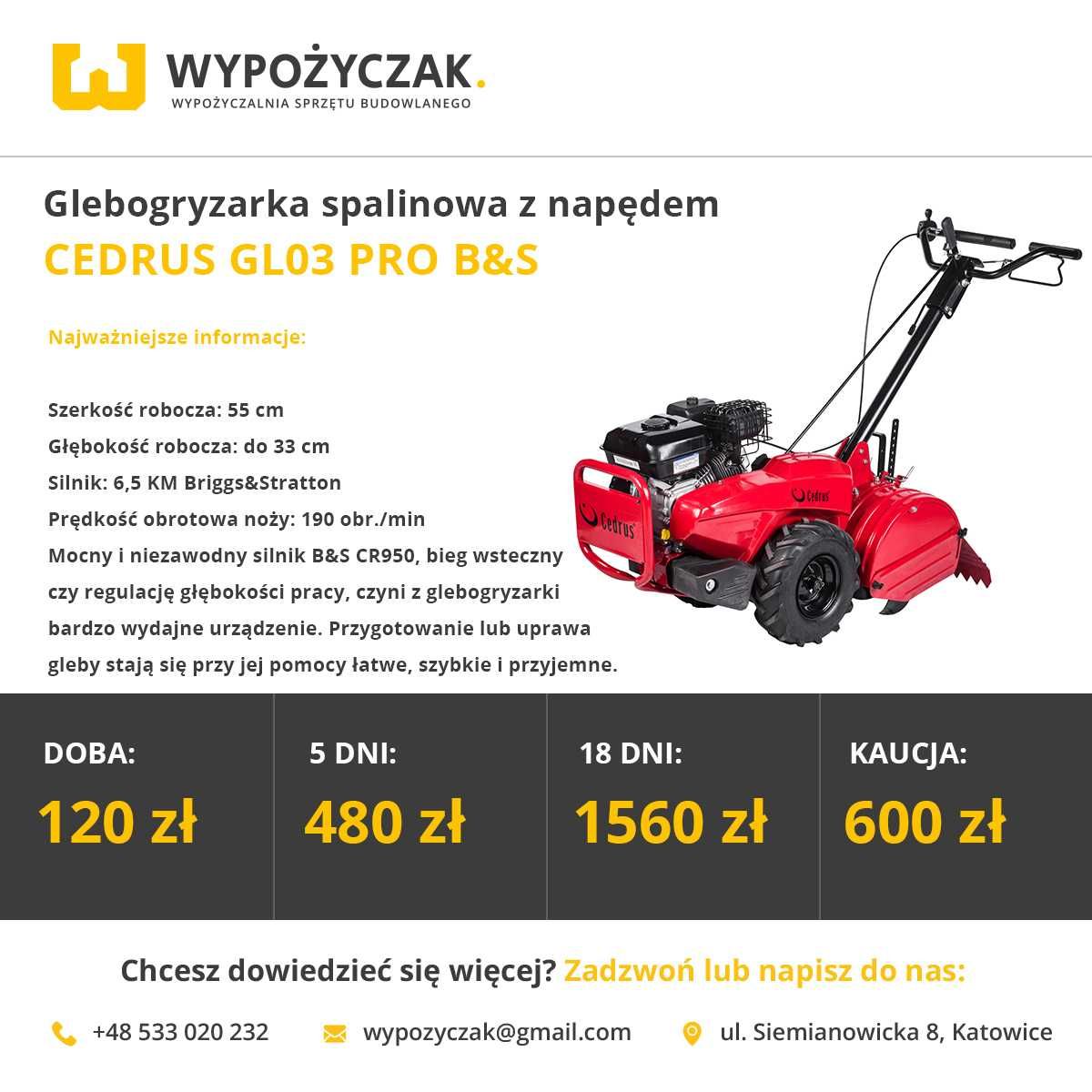 Glebogryzarka spalinowa z napędem / wertykulator / aerator - WYNAJEM