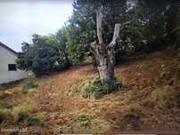 Terreno para construção de moradia - Samil, Bragança