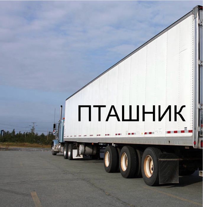 Мобільний пташник Курник Яйце Готовий бізнес