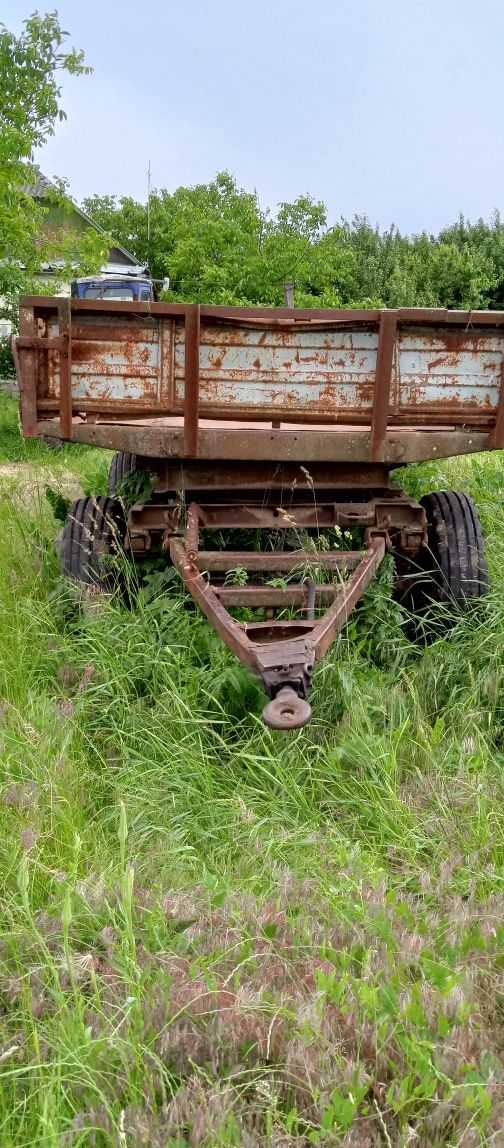 Продам робочу лошатку Трактор Т-40
