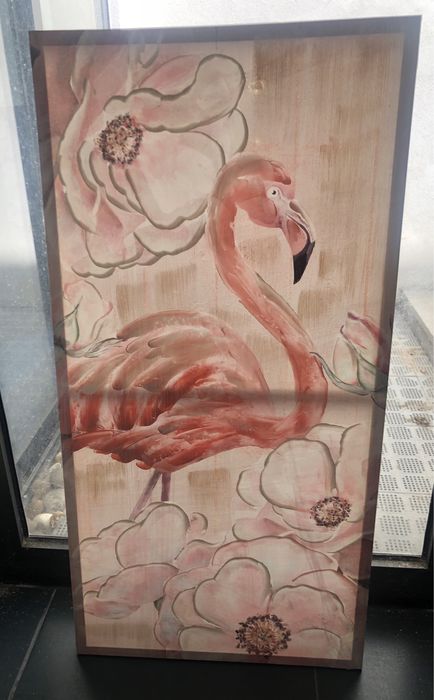 Telas flamingo novas