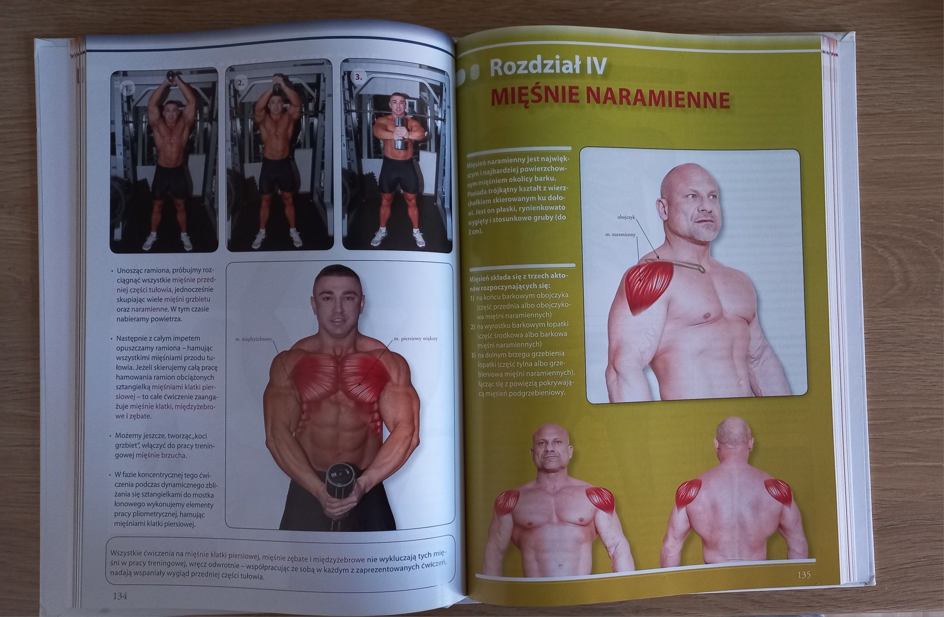KULTURYSTYKA Muscle IQ Anatomia treningu siłowego Leszek Michalski
