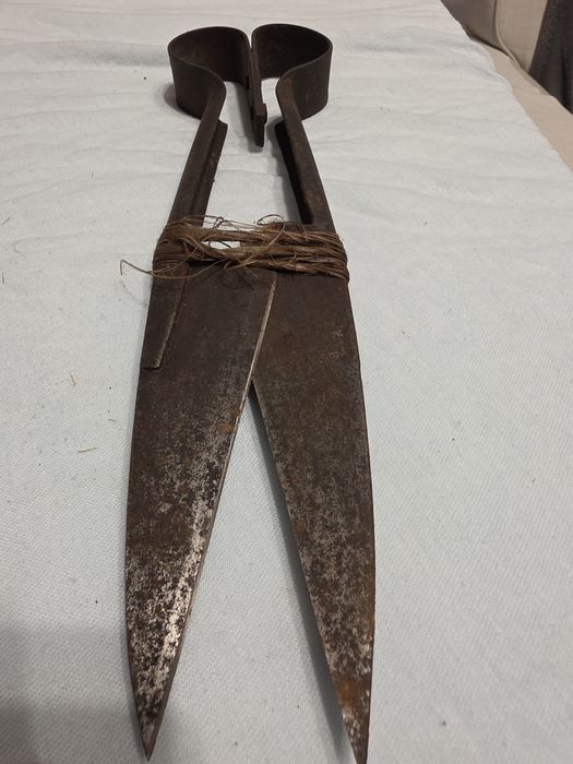 Stare nożyce do strzyżenia owiec.