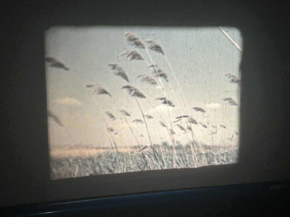 Film 16mm Skrzydlaci Rycerze 1955 taśma filmowa dekoracja