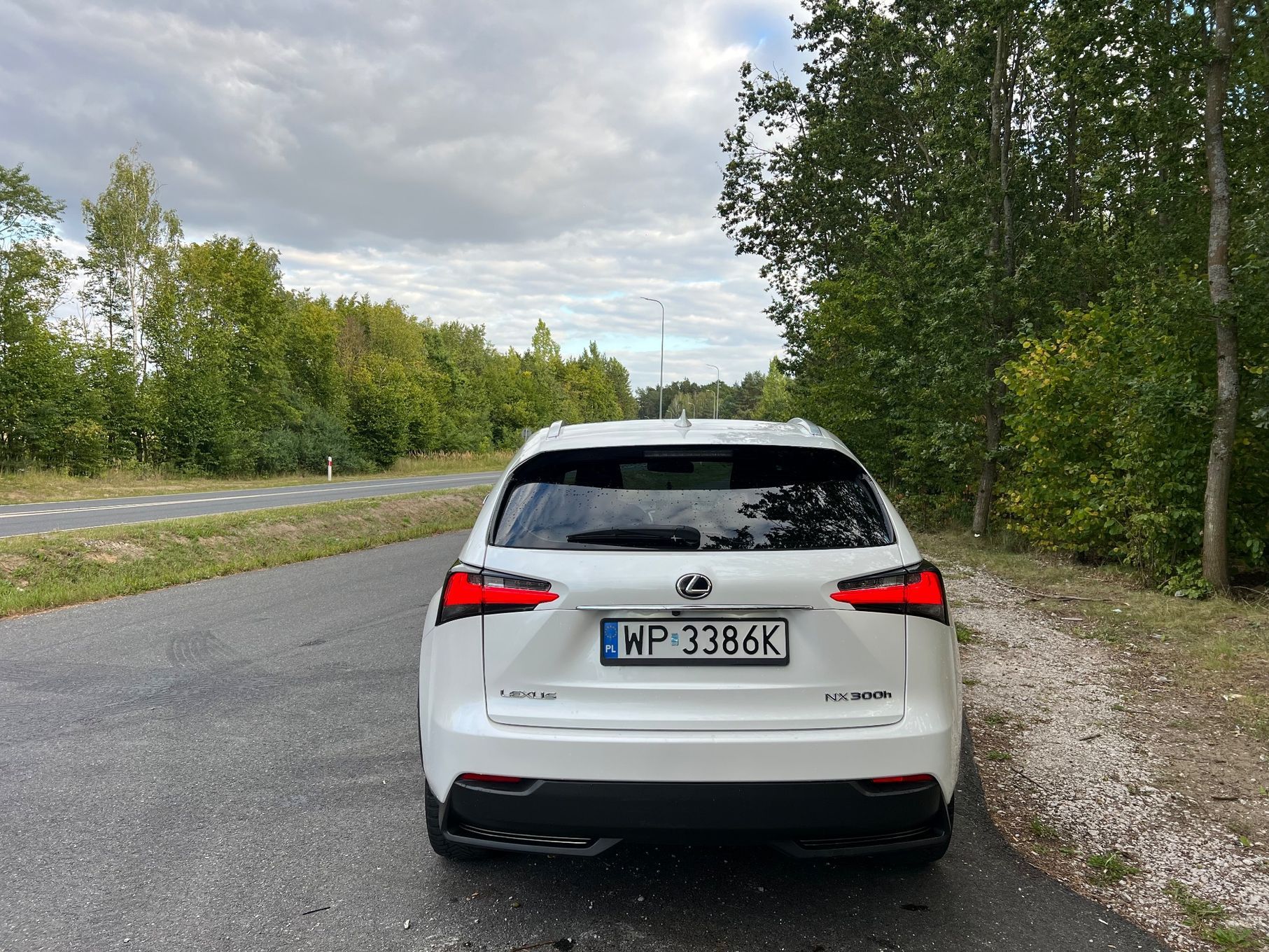 Lexus NX Lexus NX 300h, salon Polska, bez wkładu, prywatnie