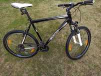 Rower Scott aspect 50 XL rama