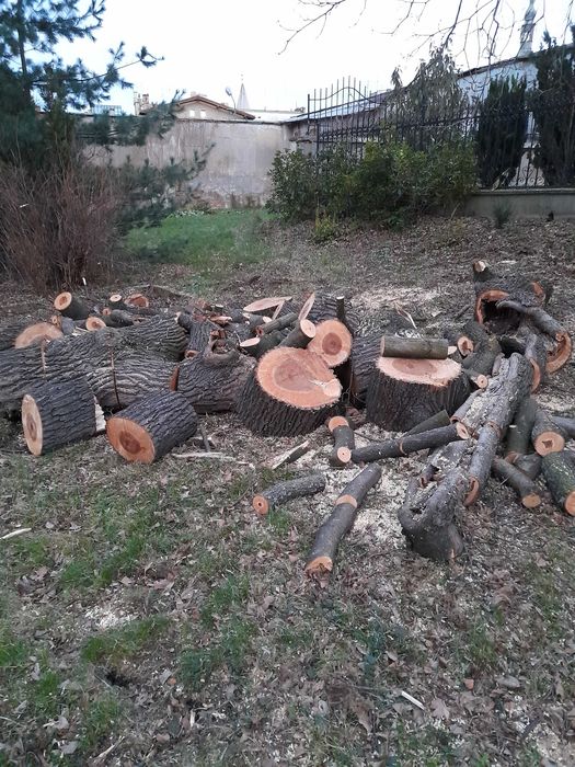 Sprzedam drewno leżakowane 3 lata