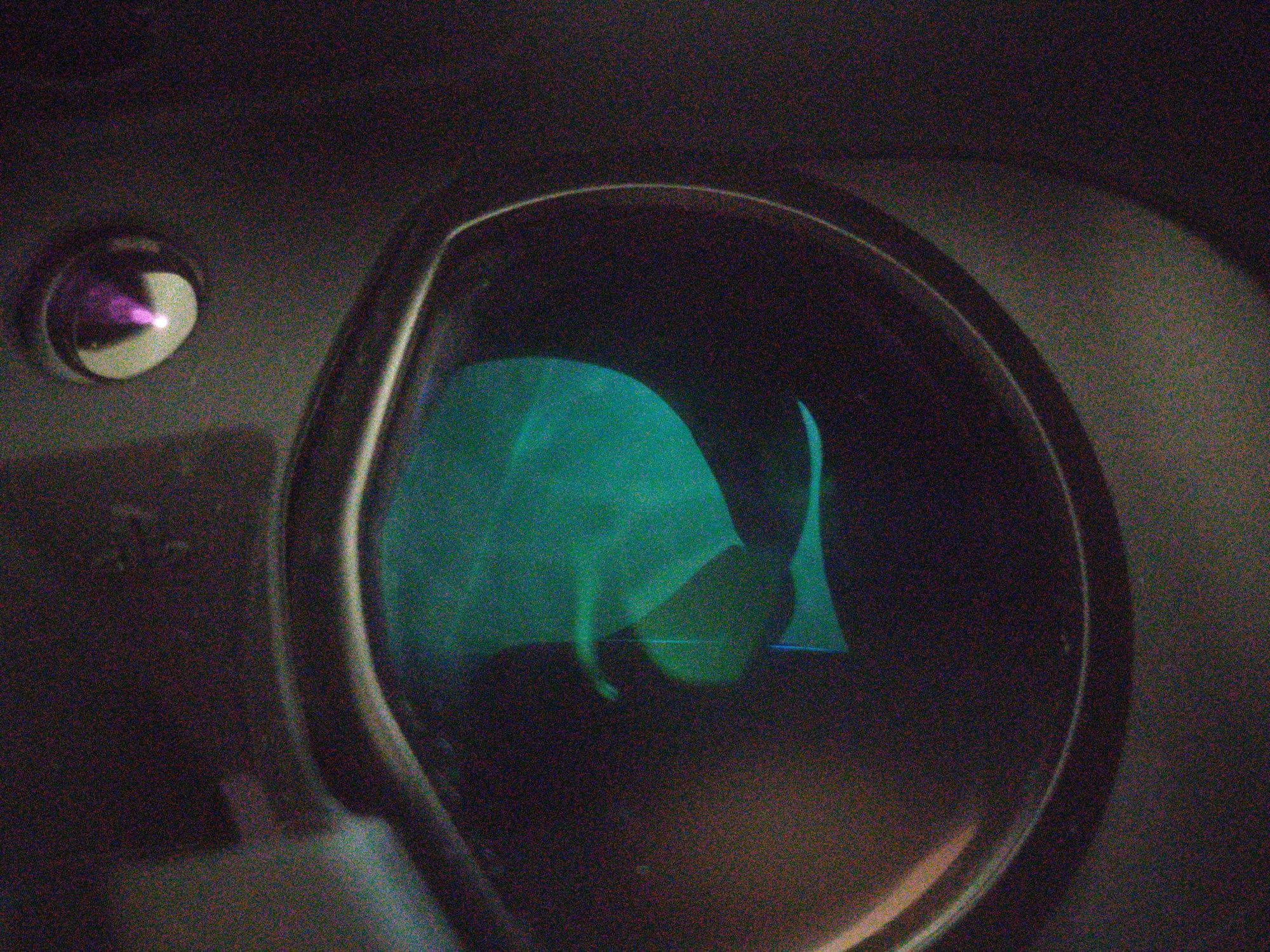 PSVR, przejściówka ps5, kamera