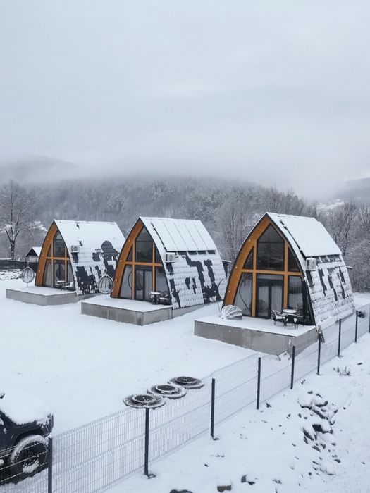 Оренда будинку котедж Яремче