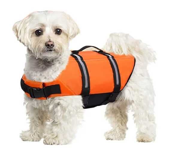 Kapok kamizelka ratunkowa dla psa nad wodę XL/XXL