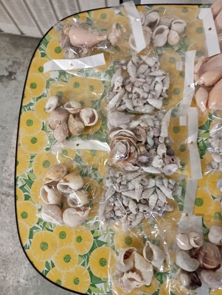 Búzios Variados..