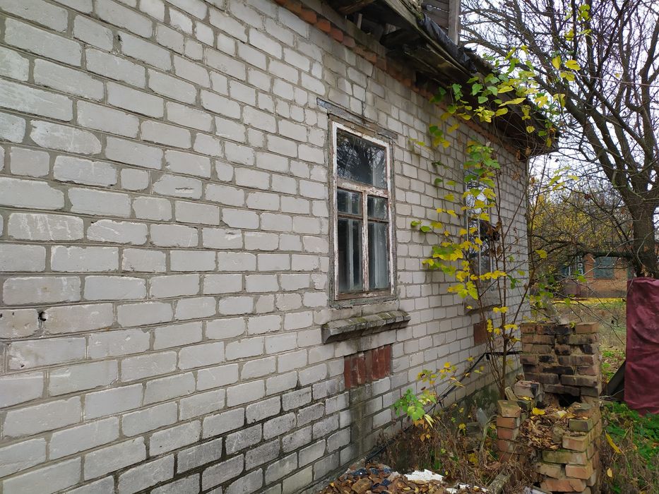 Продажа дома Белецковка (17 соток)