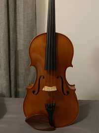 Viola de arco (violeta)