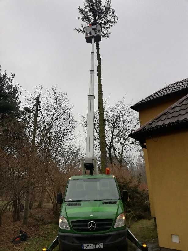 Usługi zwyżką. Podnośnik koszowy. Wycinka drzew. Rębak. Częstochowa