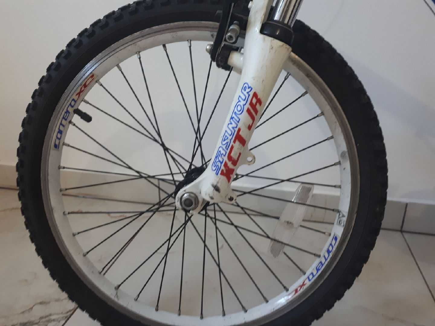 Rower dziecięcy Carrera Blast XCT Jr 20'
