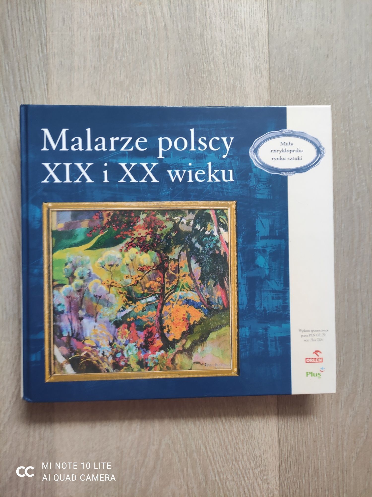 Książka "Malarze polscy XIX i XX wieku"
