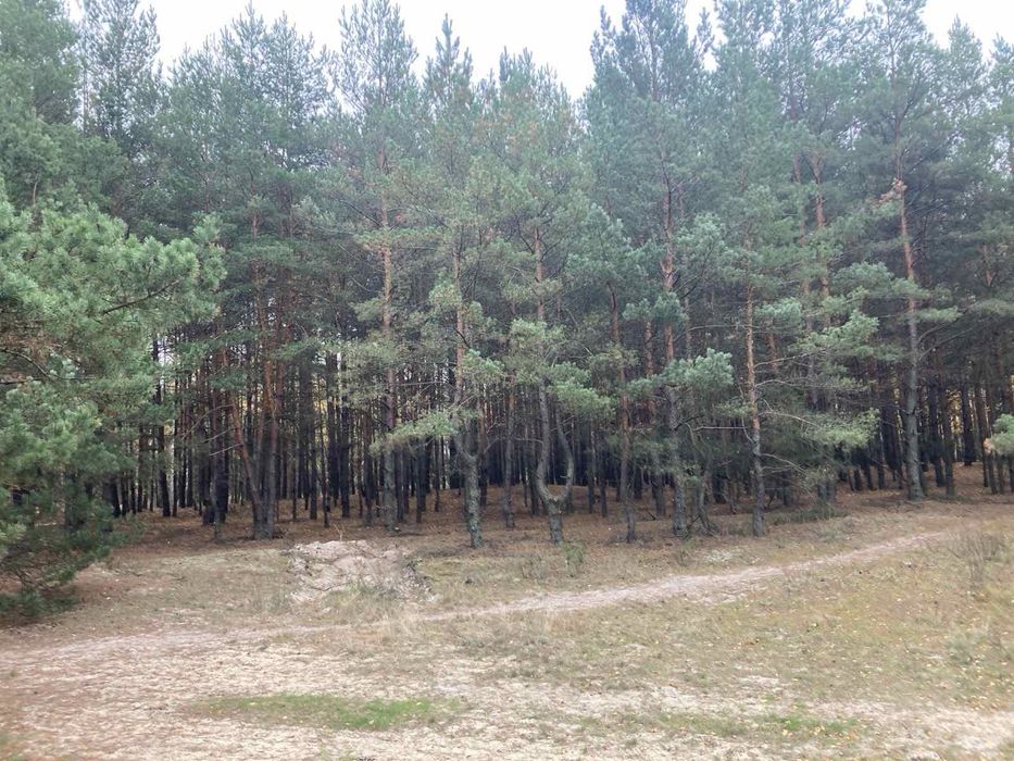 Земельна ділянка Пірнове