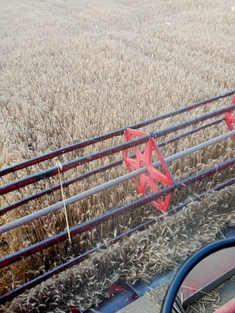 Części Massey Ferguson 520 silnik Perkins 6