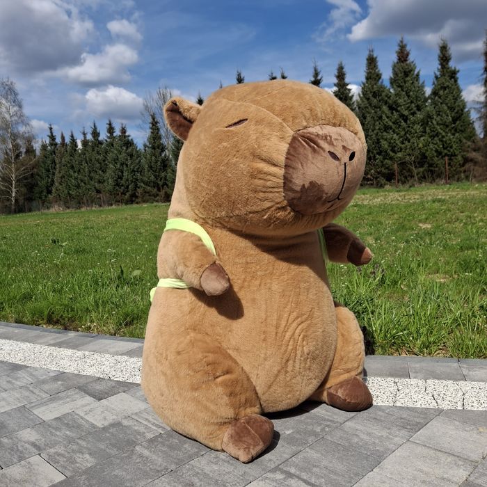 Kapibara ogromna maskotka