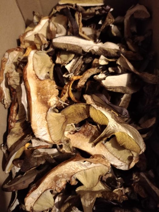 Grzyby suszone Borowiki Podgrzybki